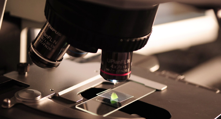 Keterampilan proses sains mengamati observasi dengan mikroskop