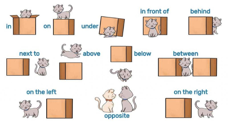 Penggunaan Preposisi dalam bahasa Inggris