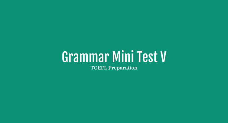 Grammar Mini Test V